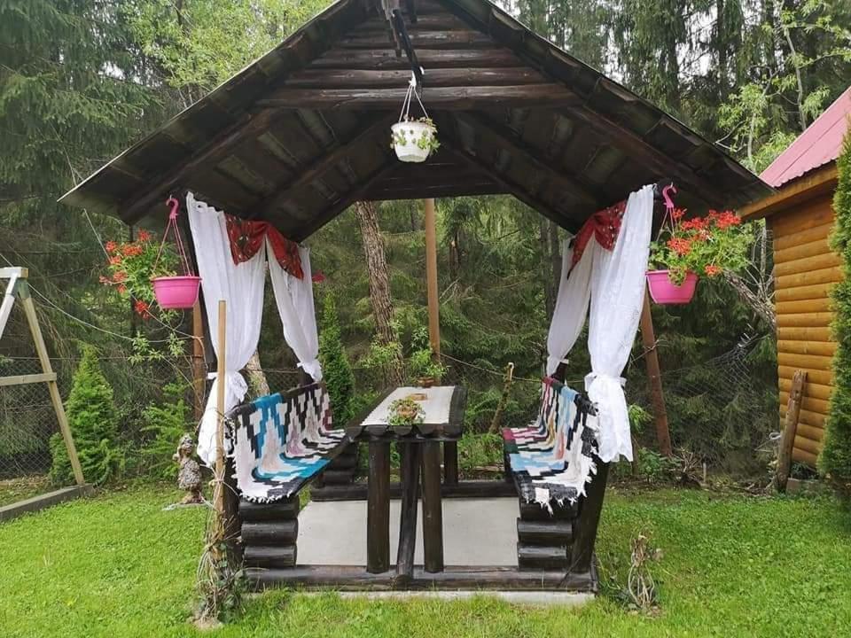Pensiunea Gianina Arieşeni Exterior foto