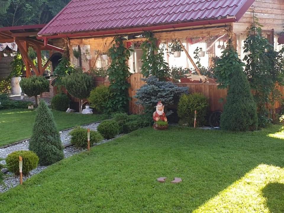Pensiunea Gianina Arieşeni Exterior foto