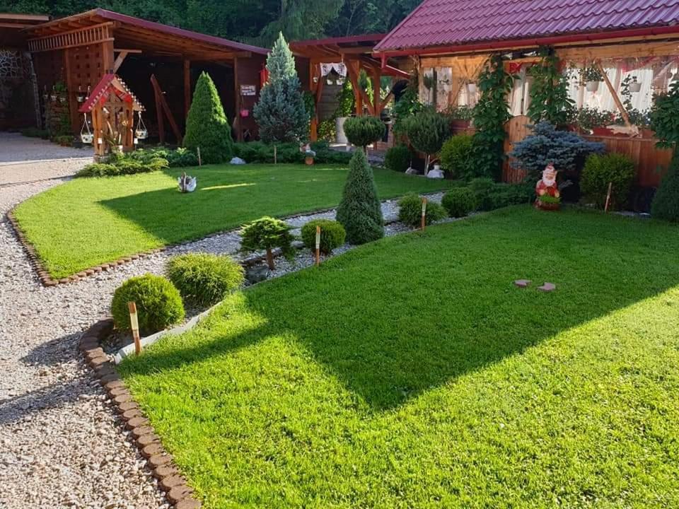 Pensiunea Gianina Arieşeni Exterior foto