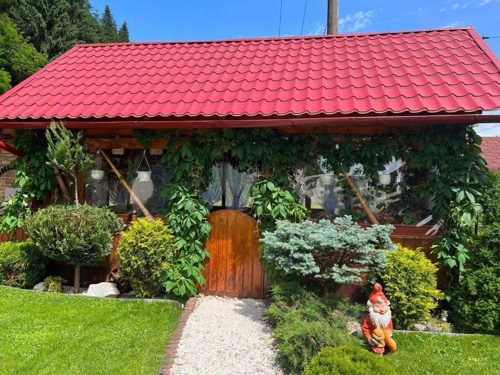 Pensiunea Gianina Arieşeni Exterior foto