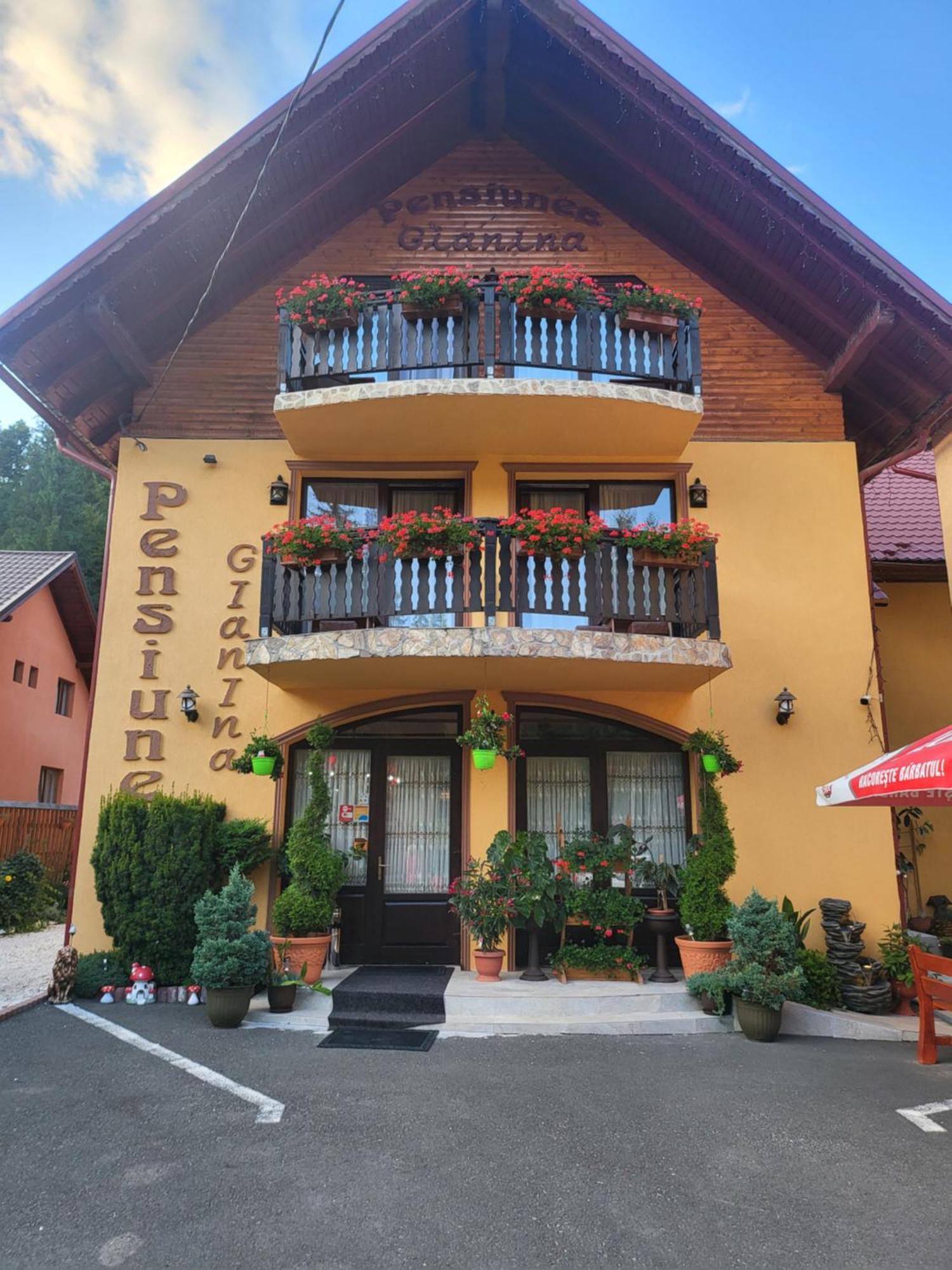 Pensiunea Gianina Arieşeni Exterior foto